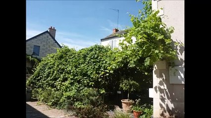 Balade de Montjean sur Loire à Béhuard