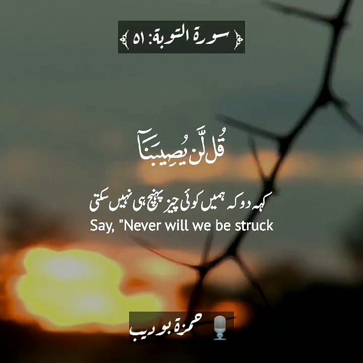  تلاوتِ قرآن مجید فرقان حمید 