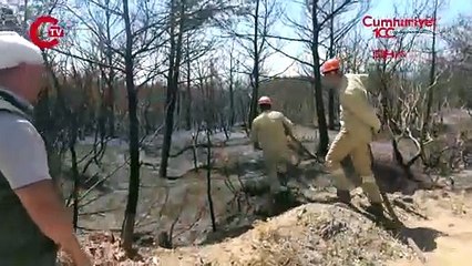 Orman İşletme Şefi başı ve elleri sargılı halde çalışmalara katıldı_ Vicdanım el vermedi...