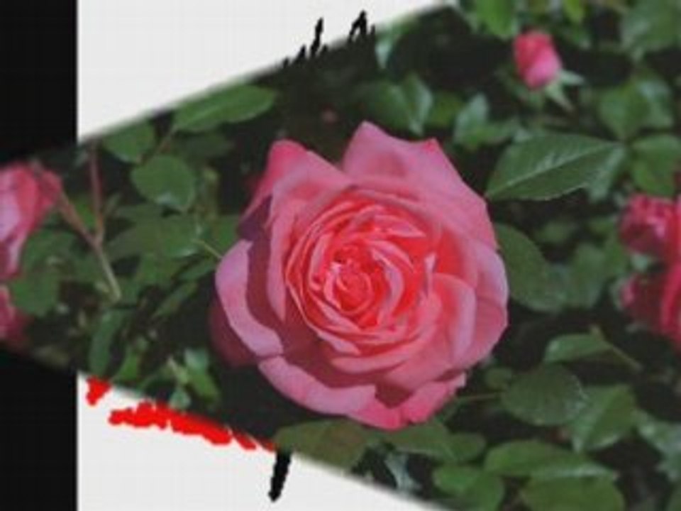 سما1
