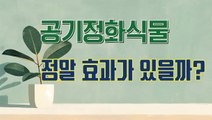 공기정화식물...정말 효과가 있을까?[김대성의 아아 그렇군요]