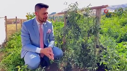 Ana vatanı Güney Amerika'nın Galapagos adalarıydı, artık Türkiye'de üretiliyor