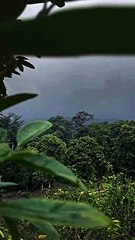 pinterestdownloader.com-1723970582.843306