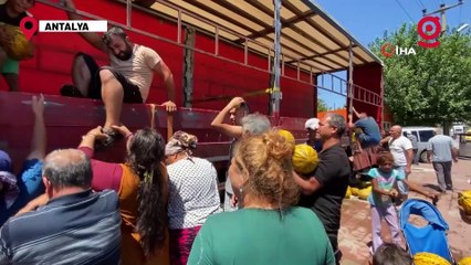 Hal esnafı düşük fiyat verince 20 ton kavunu vatandaşa ücretsiz dağıttı