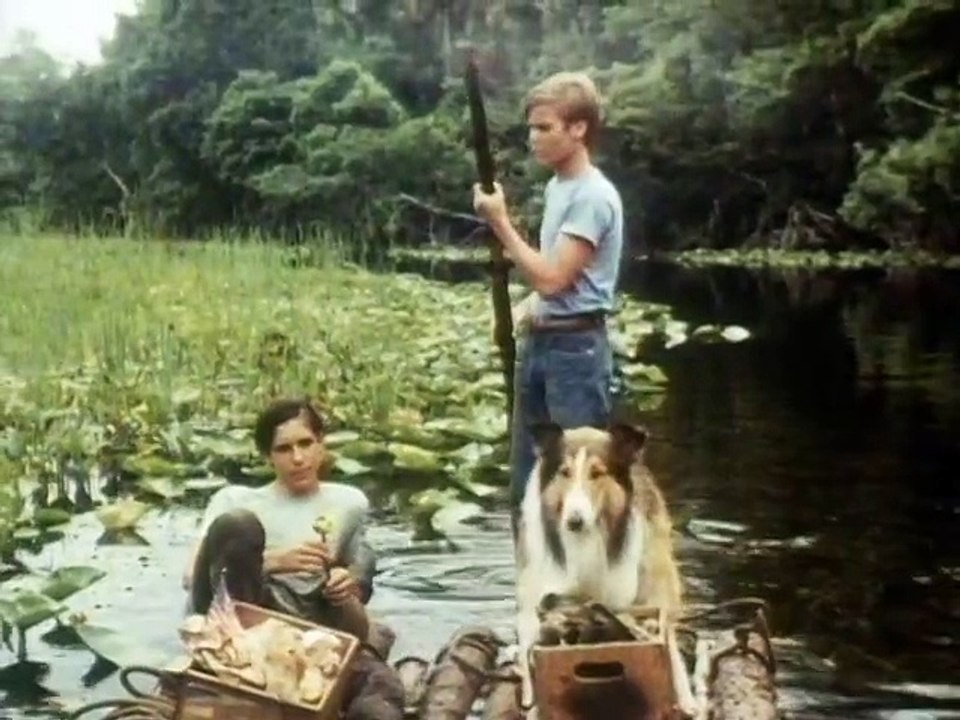 Lassie-Das Kätzschen