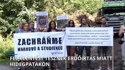 Tüntettek az erdőirtás ellen a szlovákiai Hidegpatak mellett