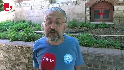 Ölen yunusu bir başka yunus altı günde karaya sürükledi