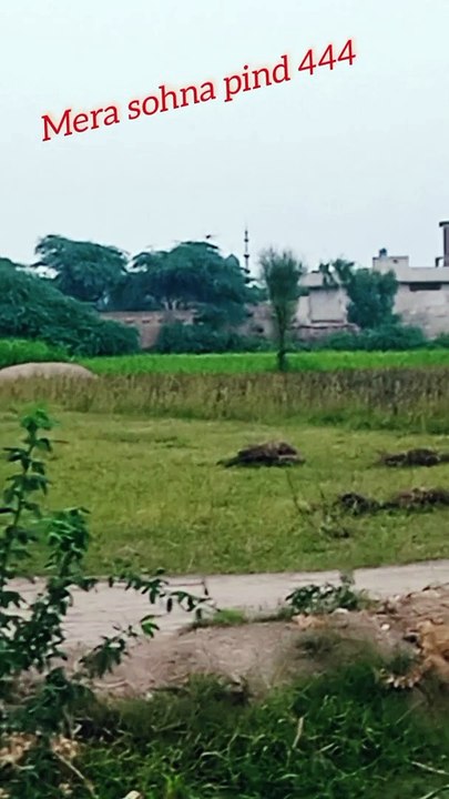 Snack on Way   village road purani yadain old punjab culture very unique and beautiful life in village Gaon ke purani yadain