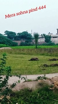 Snack on Way village road purani yadain old punjab culture very unique and beautiful life in village Gaon ke purani yadain