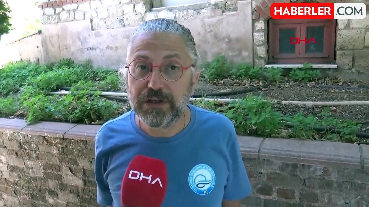 Ölen yunus için yaptığı hareket bilimsel makaleye konu oldu