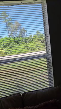 NO PAGE MAS RENTA SE VA EL DINERO POR EL SANITARIO ,LLAMENOS