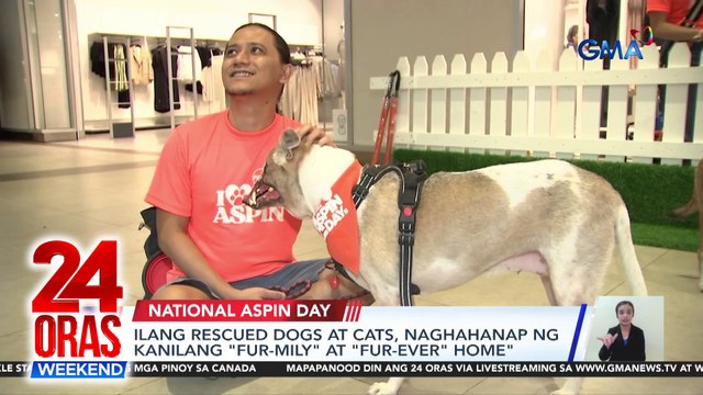 Ilang rescued dogs at cats, naghahanap ng kanilang fur-mily at fur-ever home | 24 Oras Weekend