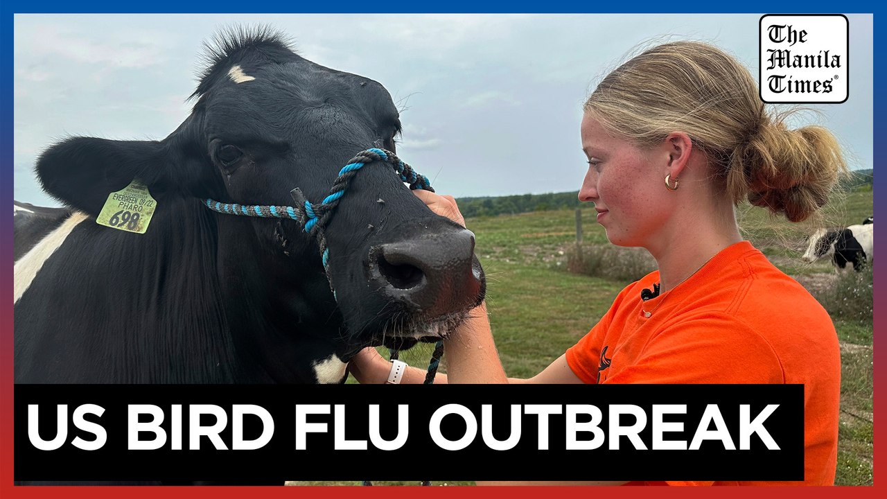 Bird flu restrictions cause heartache for kids unable to show off livestock at fairs across US