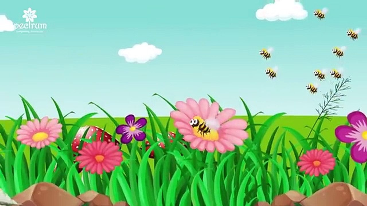Kids’ Kingdom