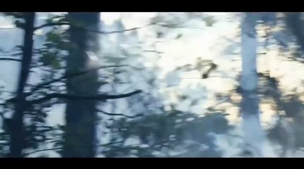 wolf attack helicopter movie scene