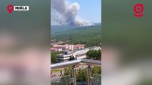 Muğla'nın Ula ve Yatağan ilçelerinde iki ayrı orman yangını başladı.