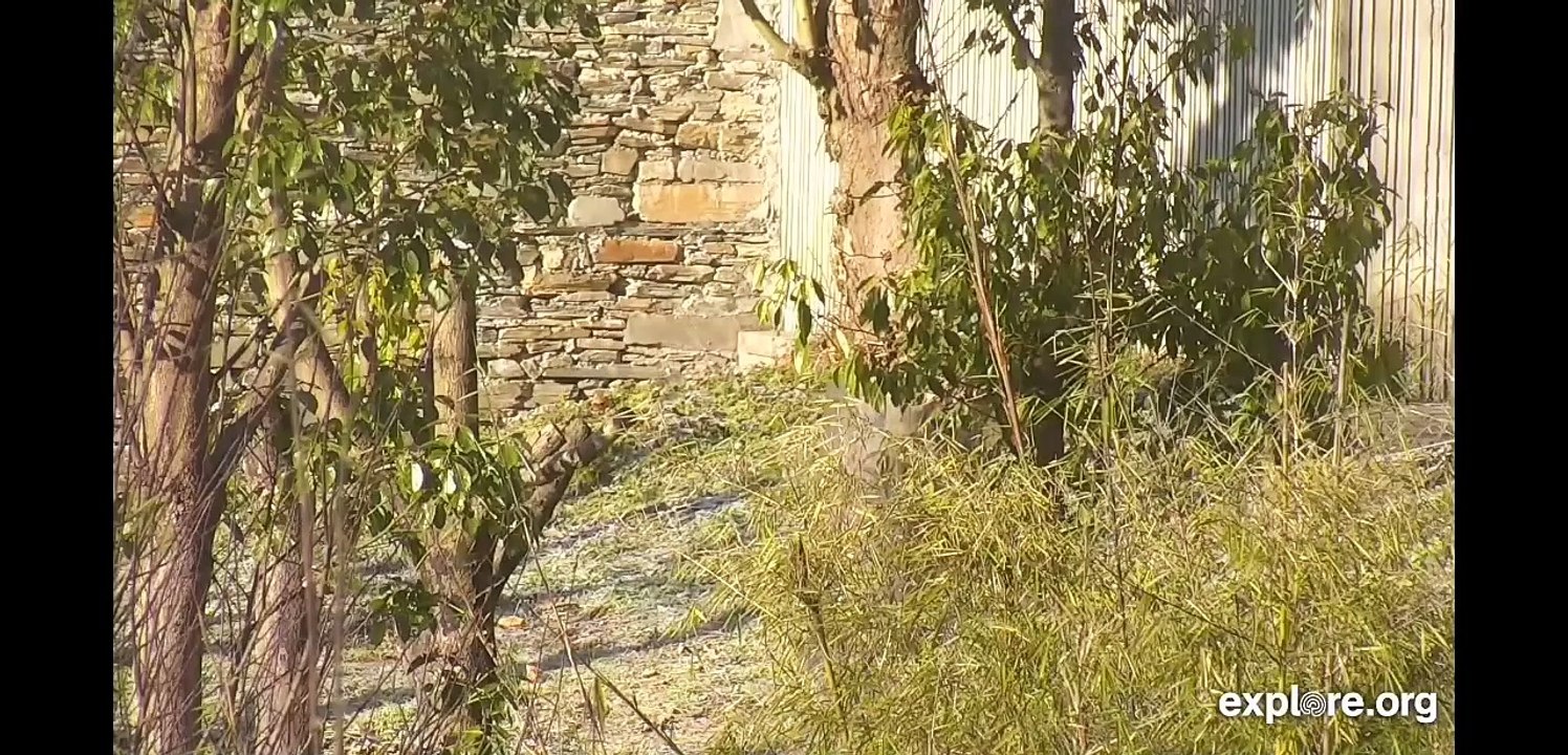 nanavafducthuy
