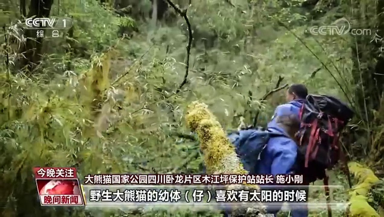 longxinhanyuan