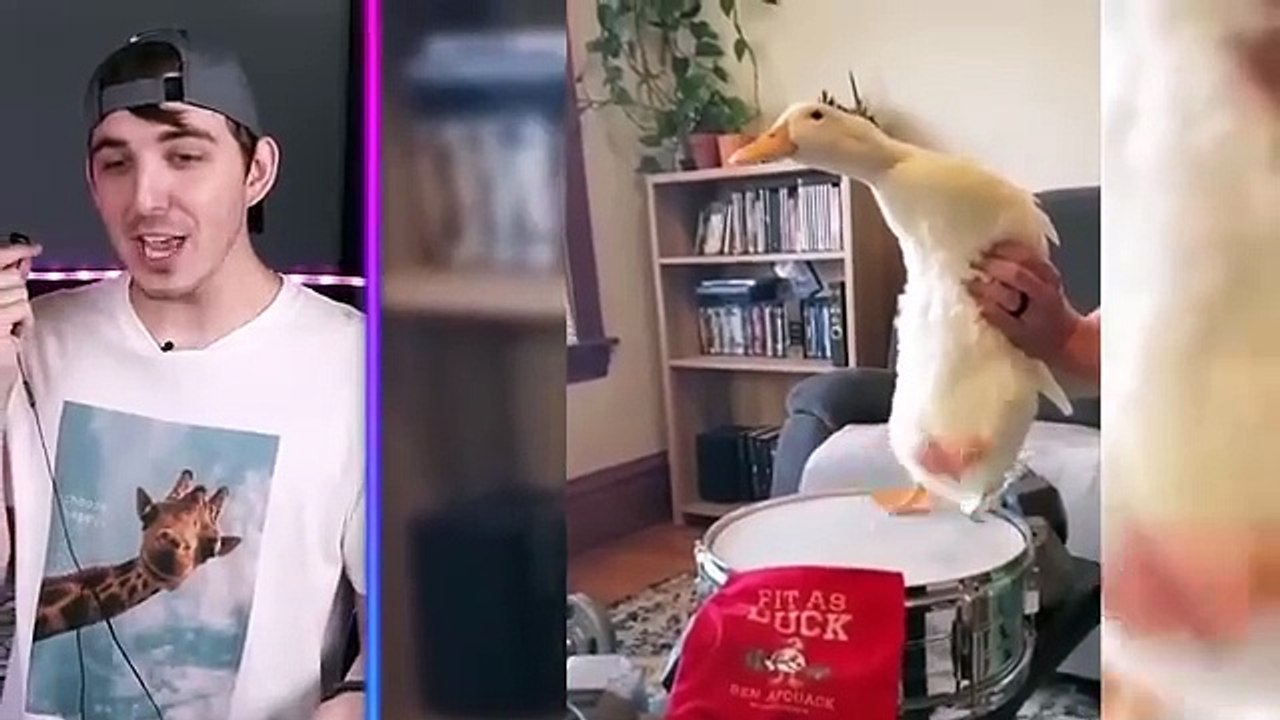 Extreme_Try_Not_To_Laugh_Challenge!(360p)(1)