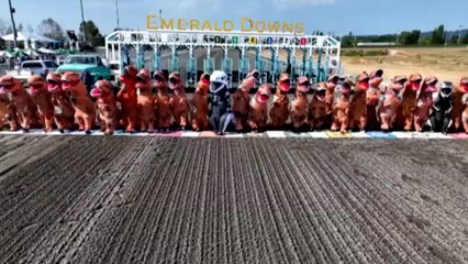 Decenas de Tiranosaurios Rex protagonizan una loca carrera en EEUU