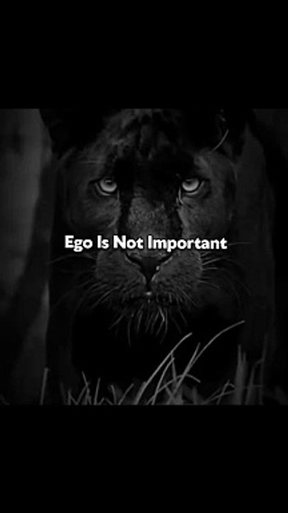 Only Self-respect #motivation #viral #trending #dailymotion #usa #top