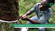 [#Reportage] Gabon : poissons, minerais, pétrole, bois, huile de palme, caoutchouc, cacao, les principaux produits exportés