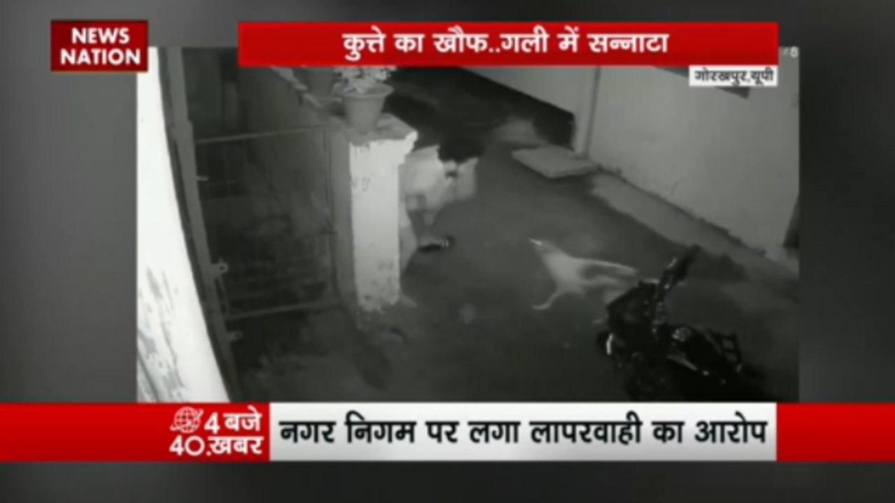 कुत्ते का खौफ.. गली में सन्नाटा