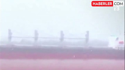 Arjantin'de maymun çiçeği alarmı: Kargo gemisi karantinaya alındı