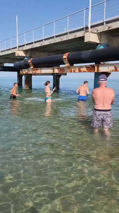 The Big Fish Enjoying Many People For A Sea....!!