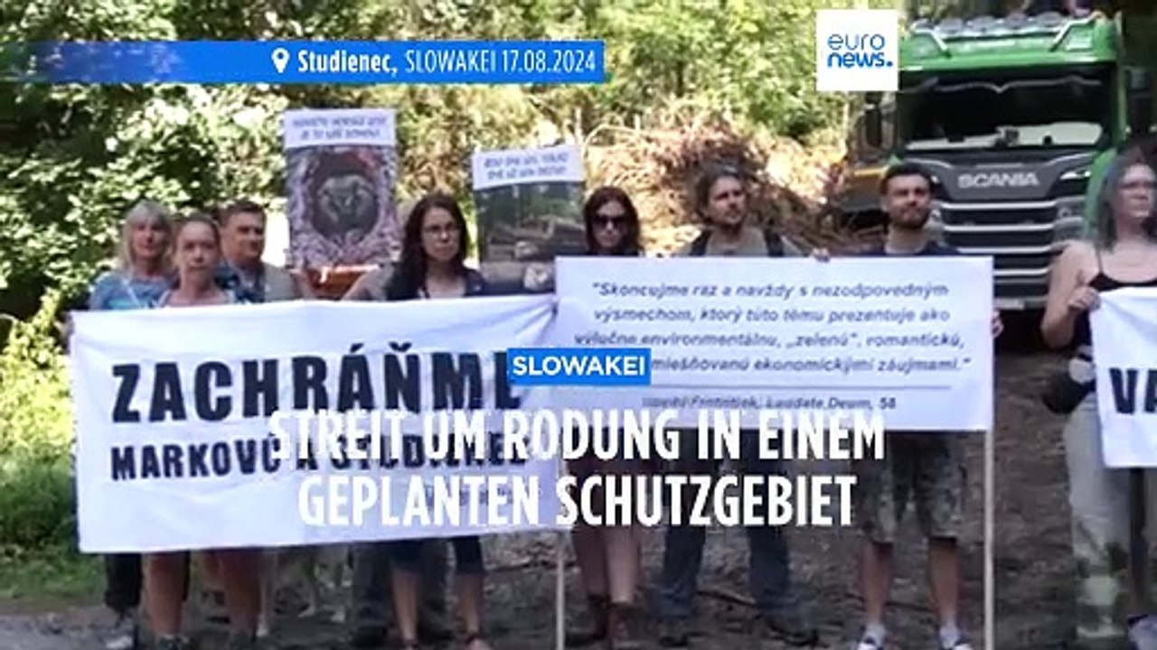 Niedere Tatra: Streit um Rodung von Bäumen