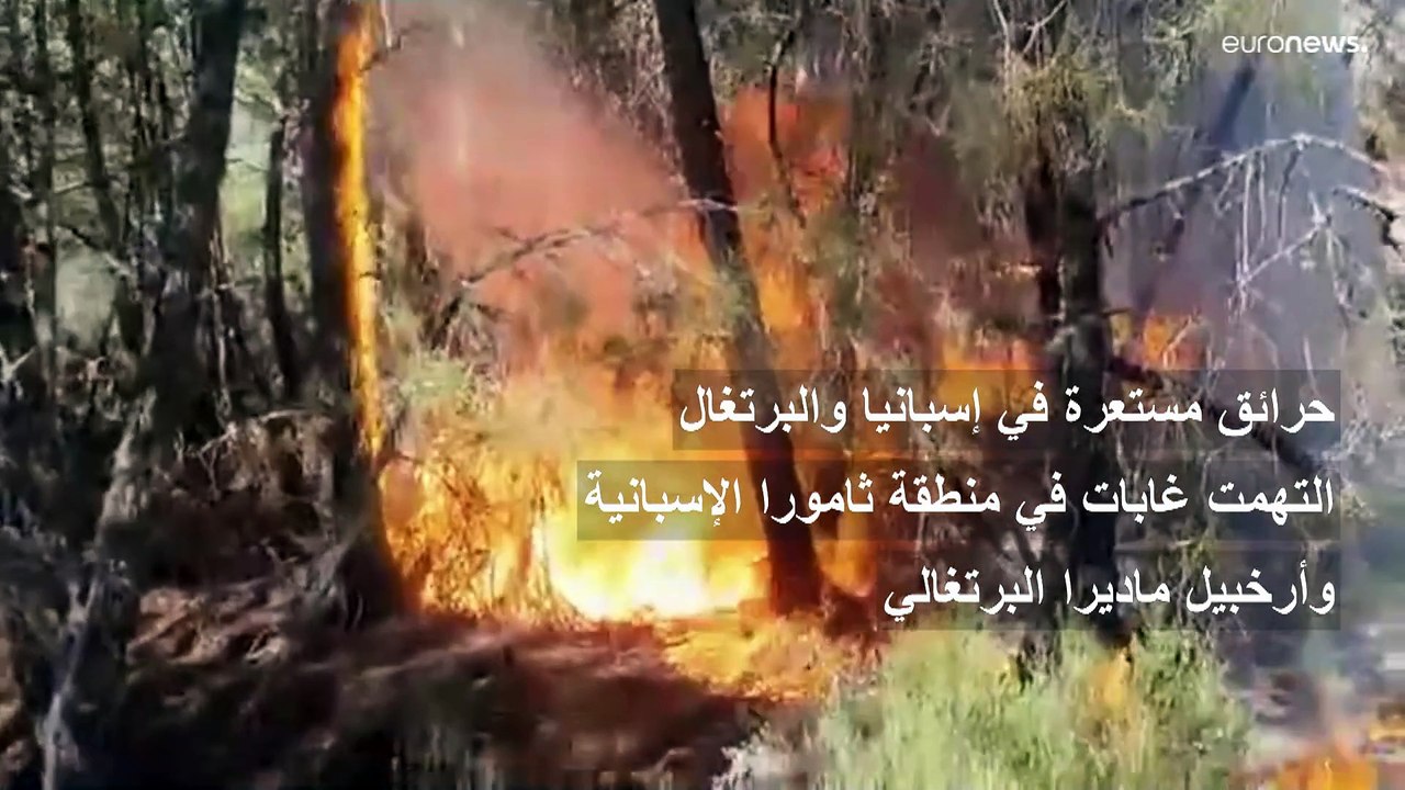حرائق مستعرة في إسبانيا والبرتغال تخلف دمارا هائلا وتستدعي إجلاء المئات من السكان