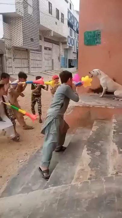 bacchon ne dog ko pareshan kar diya