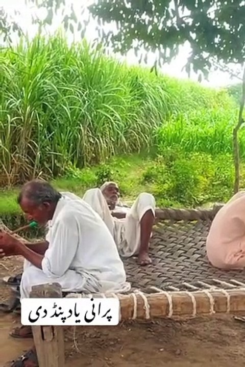 Purani yadain | old is Gold very unique and wonderful village life apna sohna punjab wasda ray beautiful view of village Punjab dey bazurge