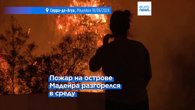 Лесные пожары тушат в Португалии и Испании