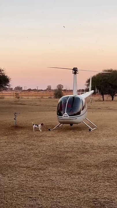 When Dad Couldn't Take Him To Work ' But It's Ok Because He Still Got To Jump In And Say Hi....!!