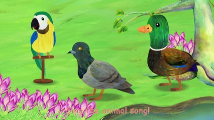 Animal Sounds Song (2D) | CoComelon Nursery Rhymes & Kids Songs
