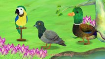 Animal Sounds Song (2D) | CoComelon Nursery Rhymes & Kids Songs