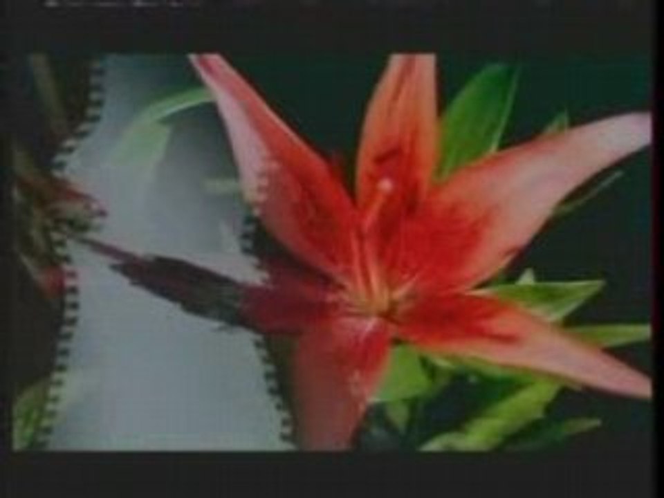 DJTC Cell Phone and Video Trance Remix