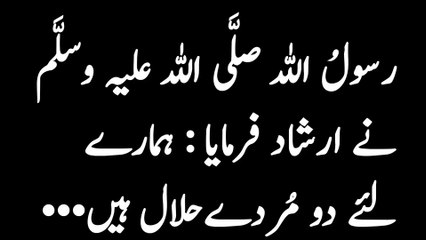 Urdu Hadees E Mubarkah Peace Be Upon Him