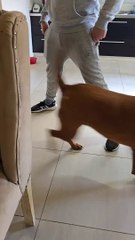 El emotivo video de Lizy Tagliani y Sebastián Nebot jugando con su hijo