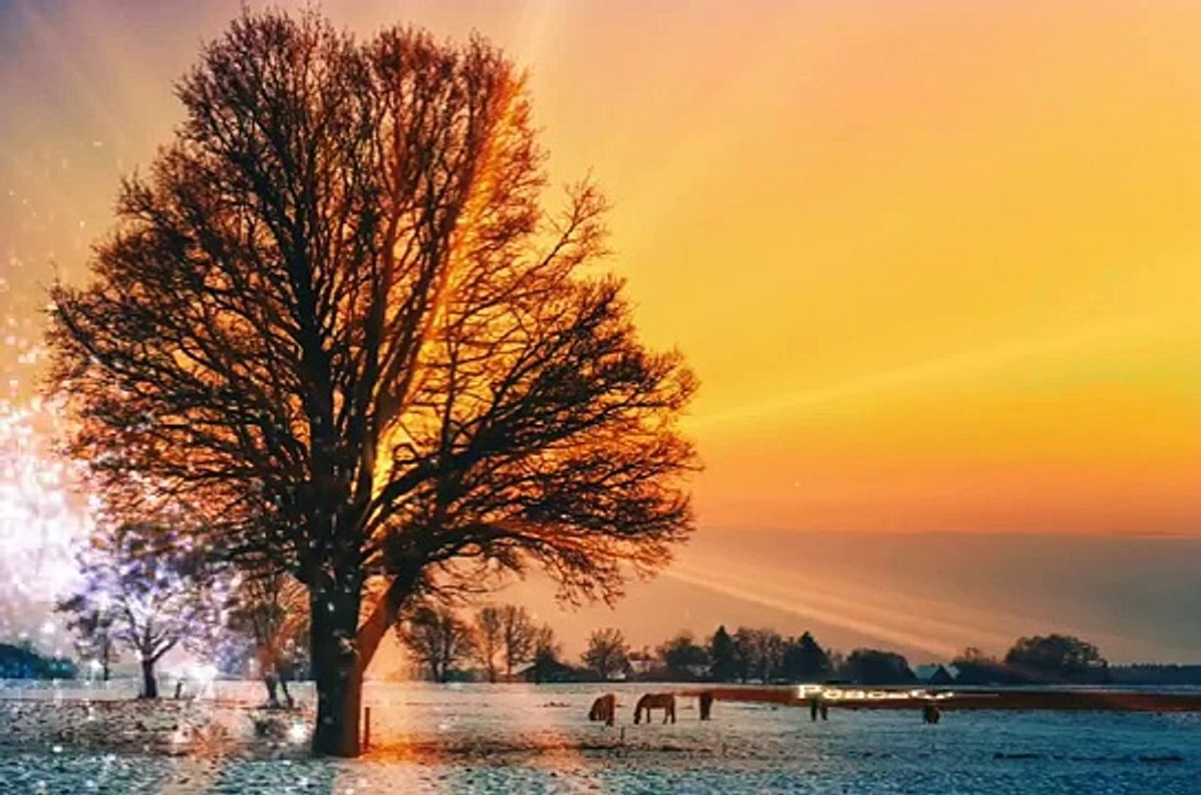 Surah_Ar-Rehman_Recitation_for_Relaxation