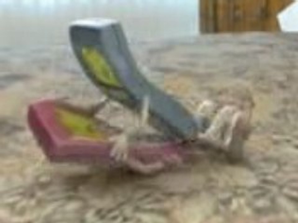 Fuck my phon