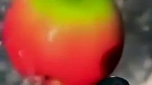 Are the videos circulating on the internet true