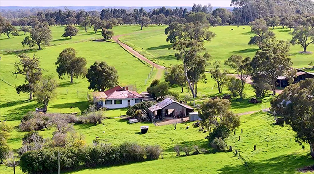 Crystal Brook - organic biodynamic farm | Farm Weekly