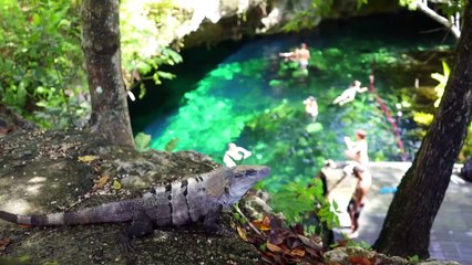 Central America Backpacking Trip | show | 2018 | Official Trailer