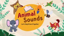 Animal Magic Sounds - Animal Sound Songs for Children