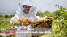 Los piquetes de abeja, base terapéutica de una empresa de apicultura