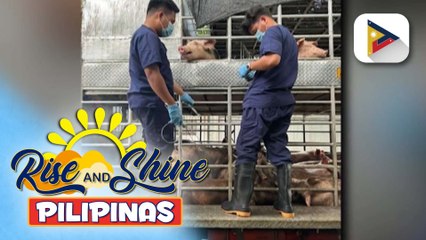 Meat inspection vs. ASF, mas pinaigting pa