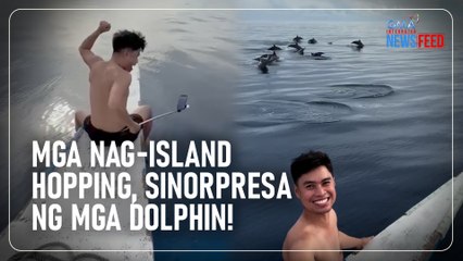 Tải video: Mga dolphin, nag-hello sa mga turista! | GMA Integrated Newsfeed