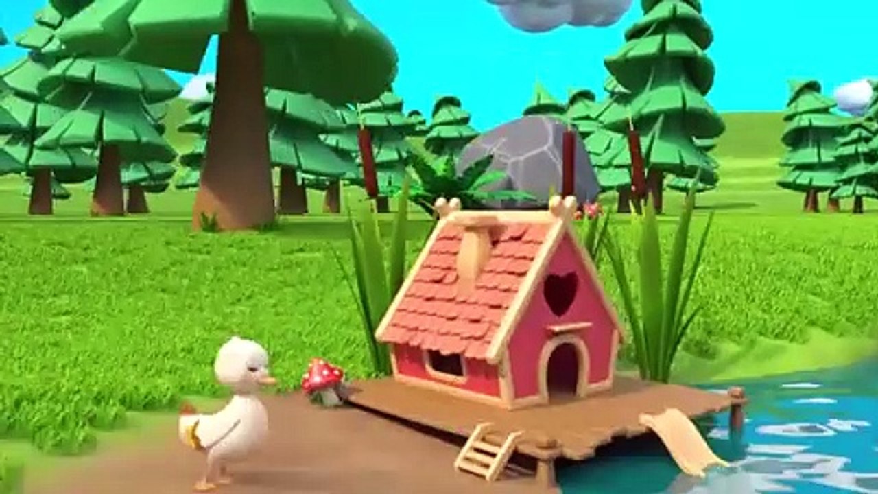 Little duck 